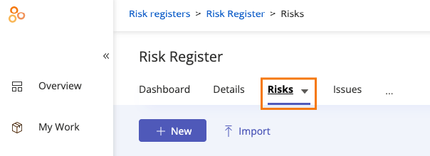 risks-tab-generic.png